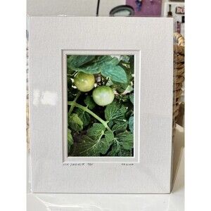 Original Photography 5X7 Picture Double Matted For 8X10 Frame